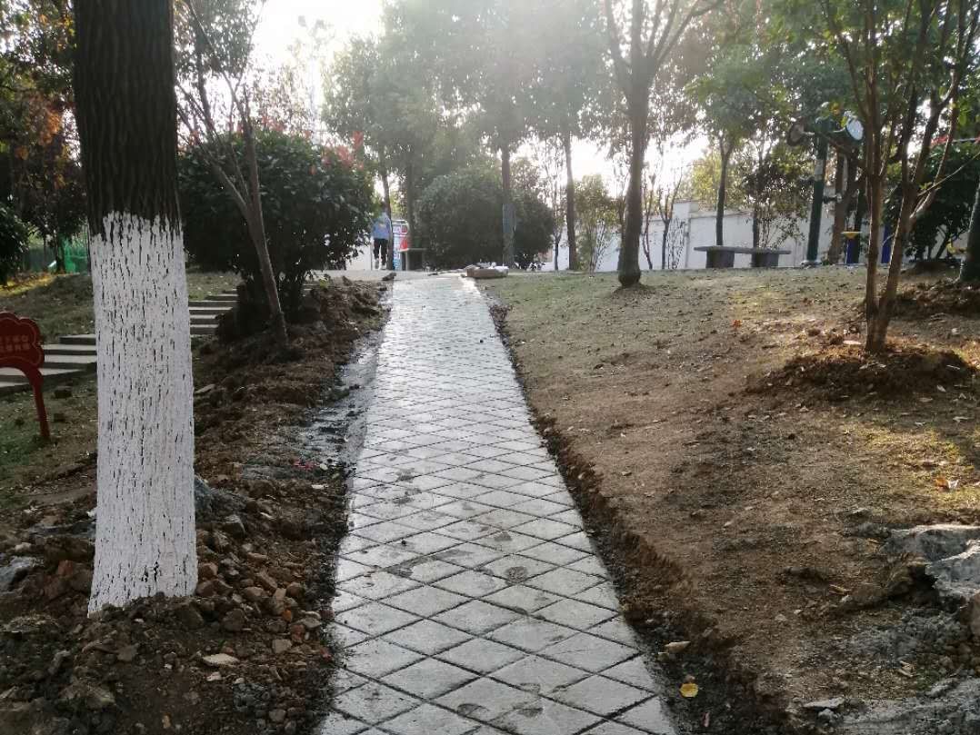 九龙园 无障碍通道.jpg